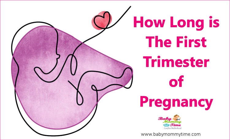How Long Is The First Trimester Of Pregnancy Babymommytime Top