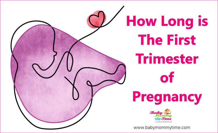 How Long is The First Trimester of Pregnancy - Babymommytime - Top ...